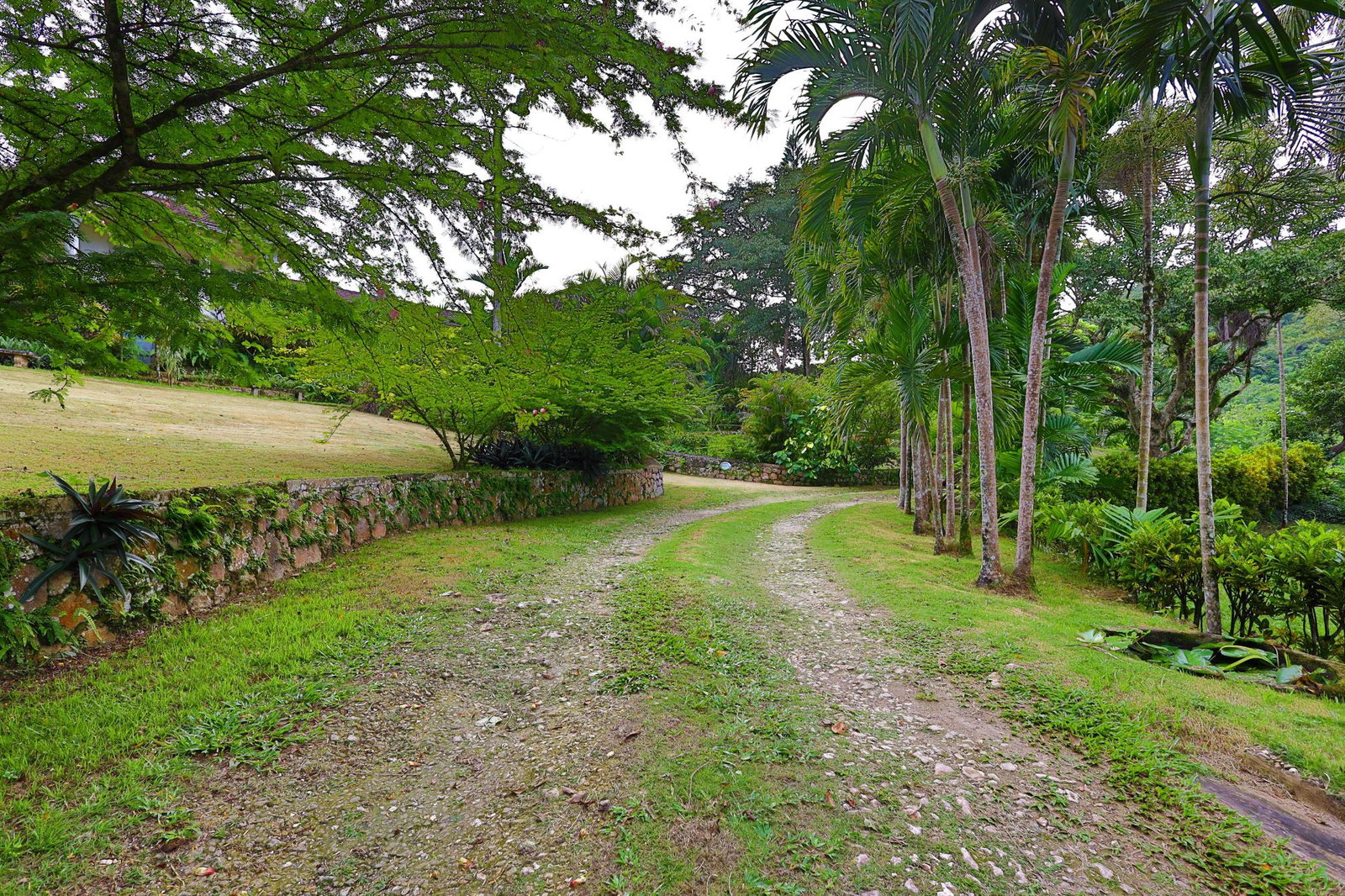 Sixteenth image of 30 & 31 Welrik Gardens in Anchovy, St. James, Jamaica - property is For Sale
