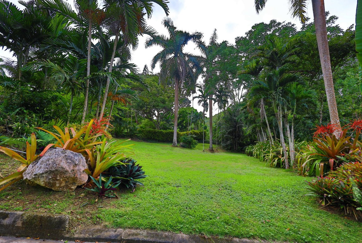 Seventeenth image of 30 & 31 Welrik Gardens in Anchovy, St. James, Jamaica - property is For Sale