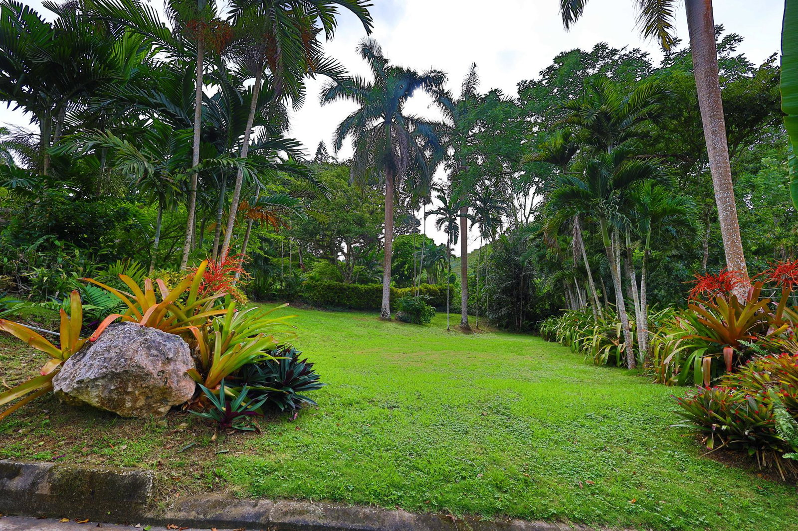 Seventeenth image of 30 & 31 Welrik Gardens in Anchovy, St. James, Jamaica - property is For Sale