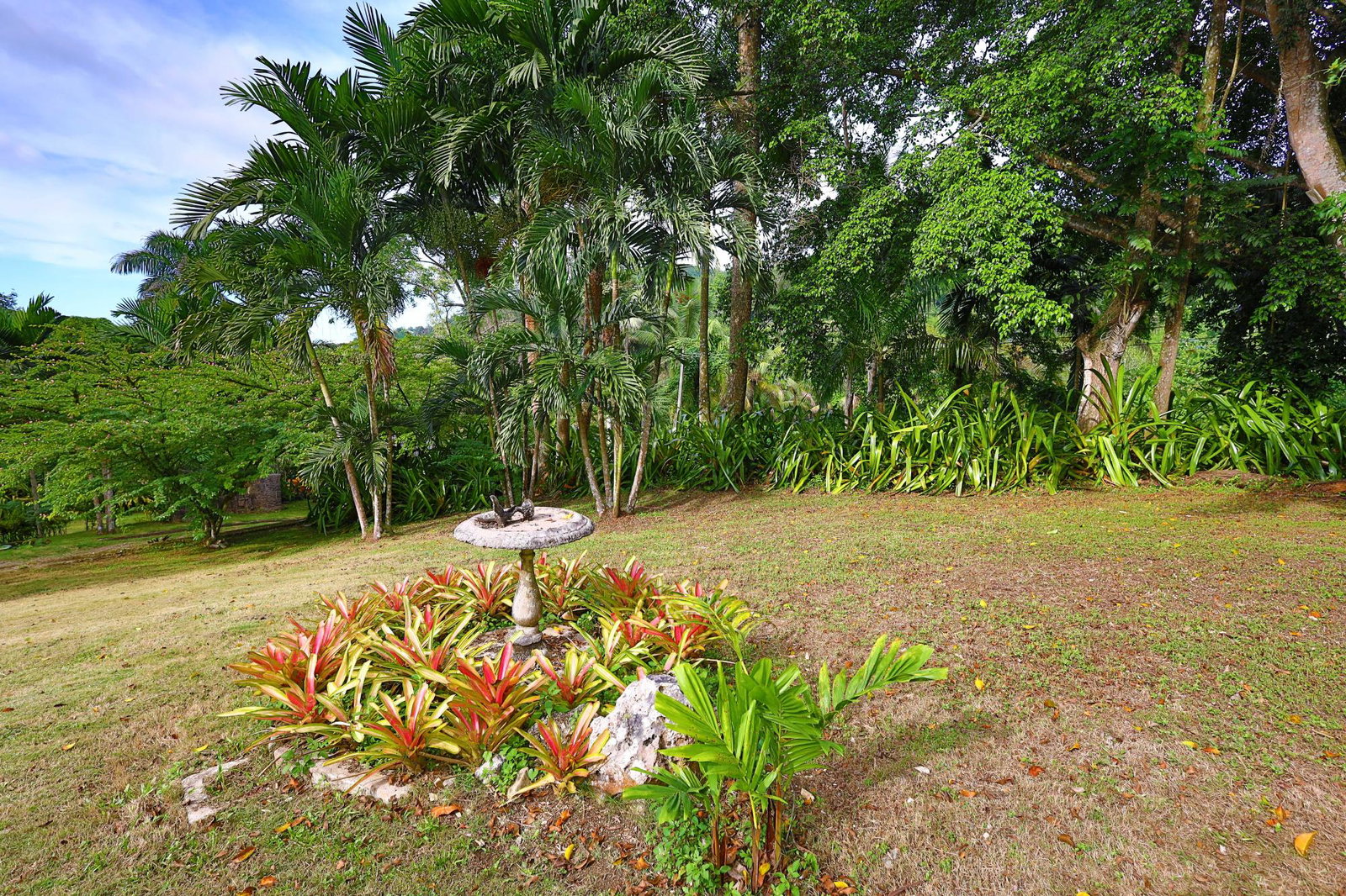 Eighteenth image of 30 & 31 Welrik Gardens in Anchovy, St. James, Jamaica - property is For Sale