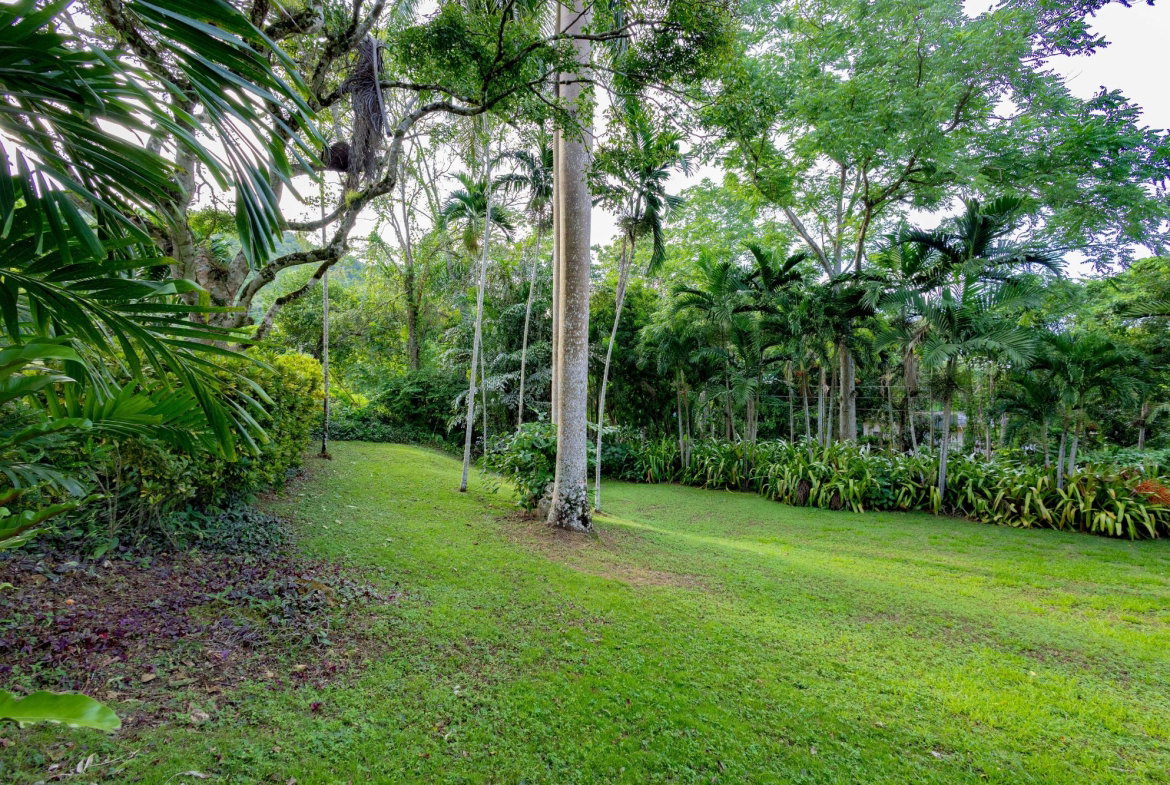 Twenty-Third image of 30 & 31 Welrik Gardens in Anchovy, St. James, Jamaica - property is For Sale