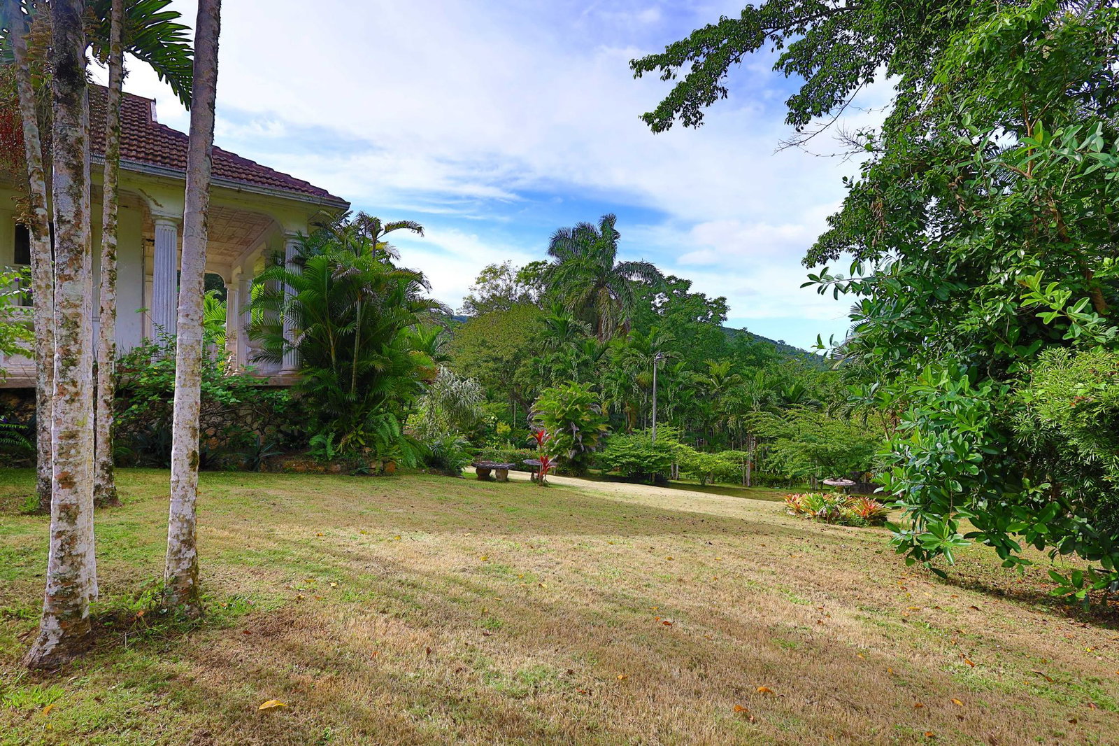 Twenty-Fifth image of 30 & 31 Welrik Gardens in Anchovy, St. James, Jamaica - property is For Sale
