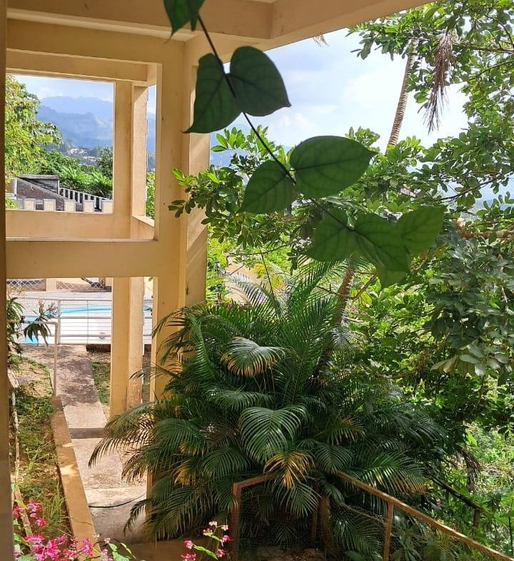 Ninth image of 2a Wireless Drive, Kingston in Kingston 9, St. Andrew, Jamaica - property is For Sale