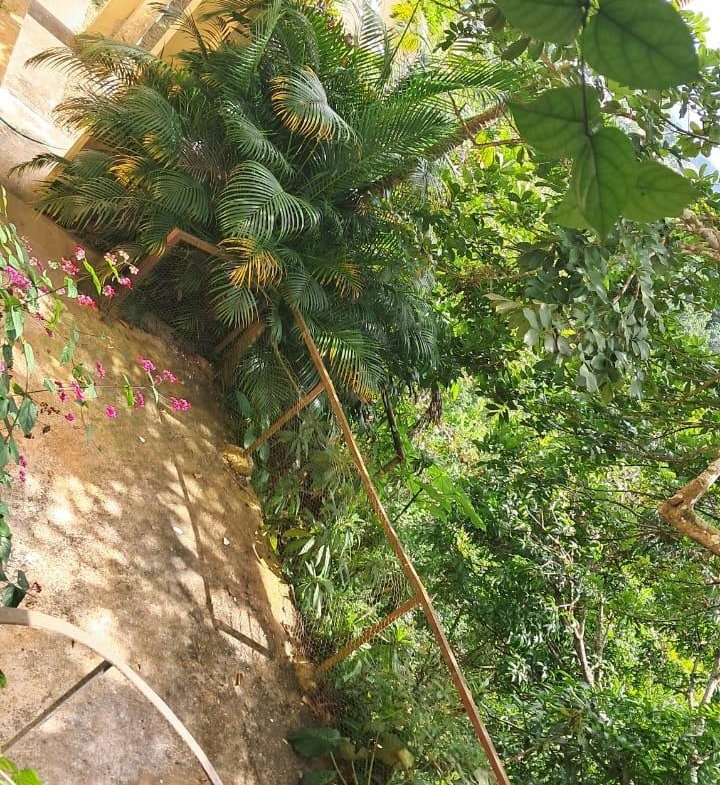 Tenth image of 2a Wireless Drive, Kingston in Kingston 9, St. Andrew, Jamaica - property is For Sale