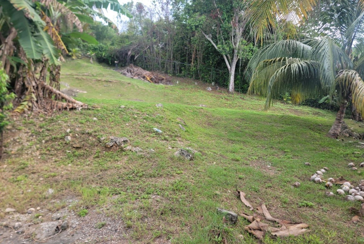 Eighth image of Lot 46 Rhynie Drive, Unity Hall, in Unity Hall, St. James, Jamaica - property is For Sale