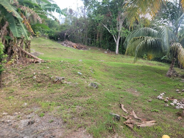 Eighth image of Lot 46 Rhynie Drive, Unity Hall, in Unity Hall, St. James, Jamaica - property is For Sale