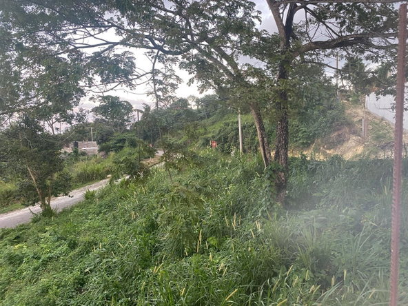 Eighth image of Lot 606- Hopewell Hanover in Hopewell, Hanover, Jamaica - property is For Sale