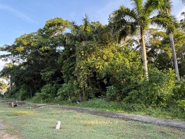 Fourth image of Drax Hall Estate in Drax Hall Estate, St. Ann, Jamaica - property is For Sale