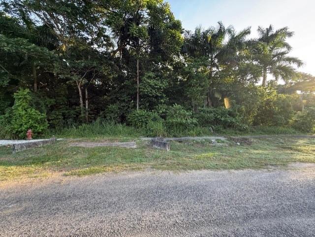 Eighth image of Drax Hall Estate in Drax Hall Estate, St. Ann, Jamaica - property is For Sale