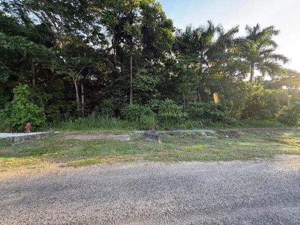 Eighth image of Drax Hall Estate in Drax Hall Estate, St. Ann, Jamaica - property is For Sale