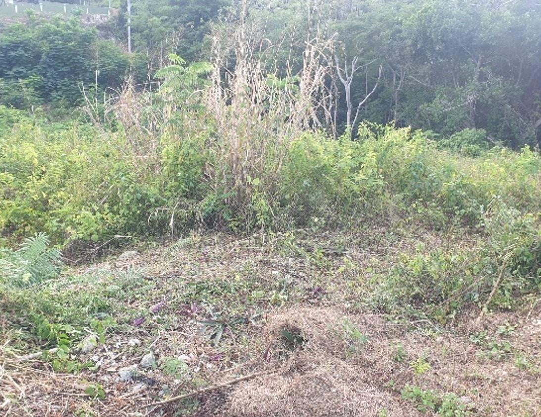 Second image of 37 Lombardia, Spring Gardens in Reading, St. James, Jamaica - property is For Sale