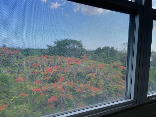 Twenty-Seventh image of 34- 5 Graham Hgts in Kingston 6, St. Andrew, Jamaica - property is For Sale