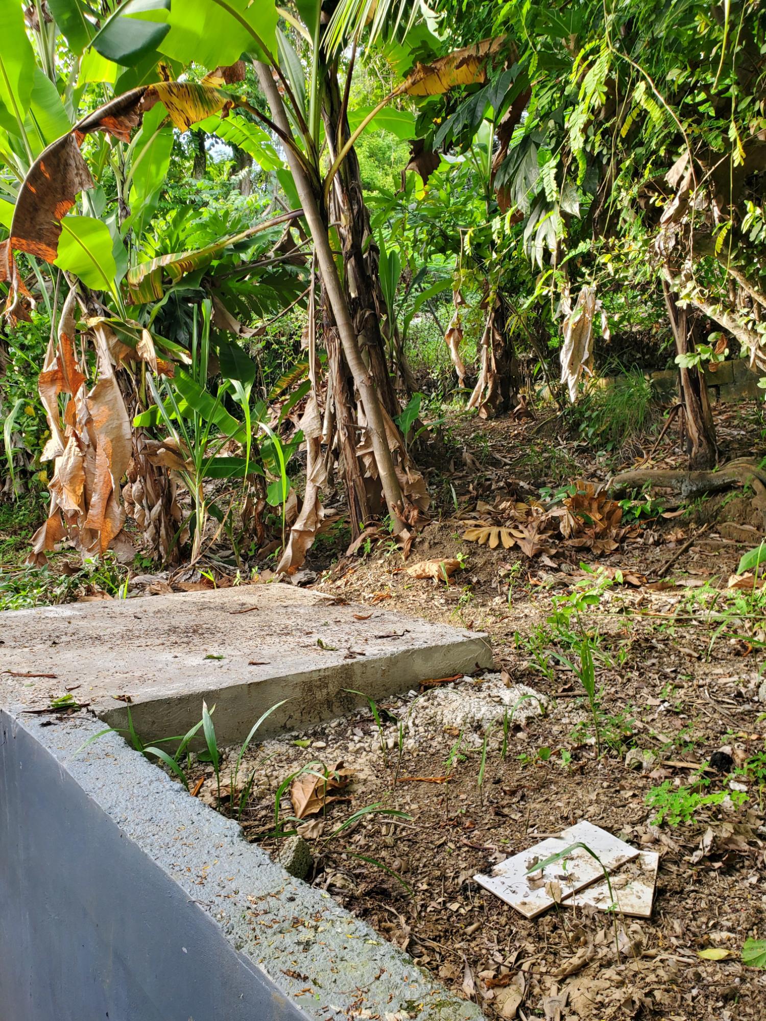 Thirteenth image of 122 Haughton Court Lucea Hano in Lucea, Hanover, Jamaica - property is For Sale