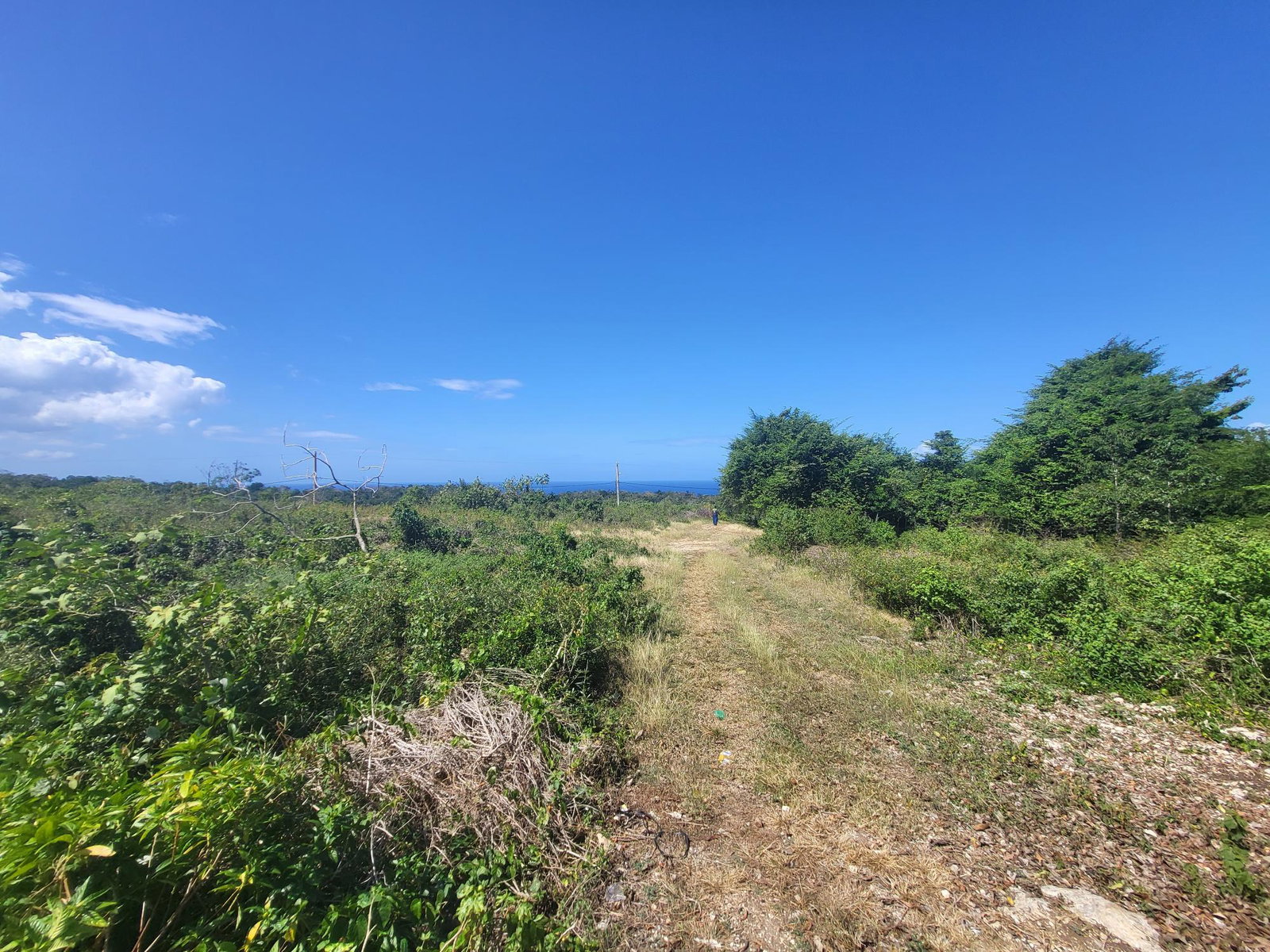 Second image of Lot 51 Cousins Cove Green Island in Green Island, Hanover, Jamaica - property is For Sale