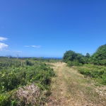 First image of Lot 51 Cousins Cove Green Island in Green Island, Hanover, Jamaica - property is For Sale