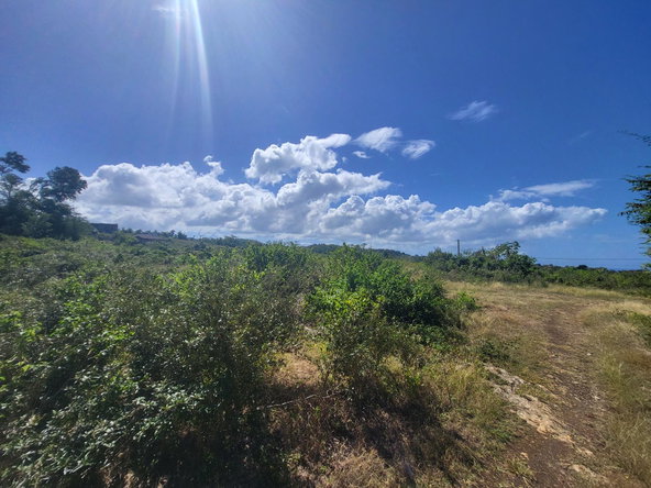 Third image of Lot 51 Cousins Cove Green Island in Green Island, Hanover, Jamaica - property is For Sale