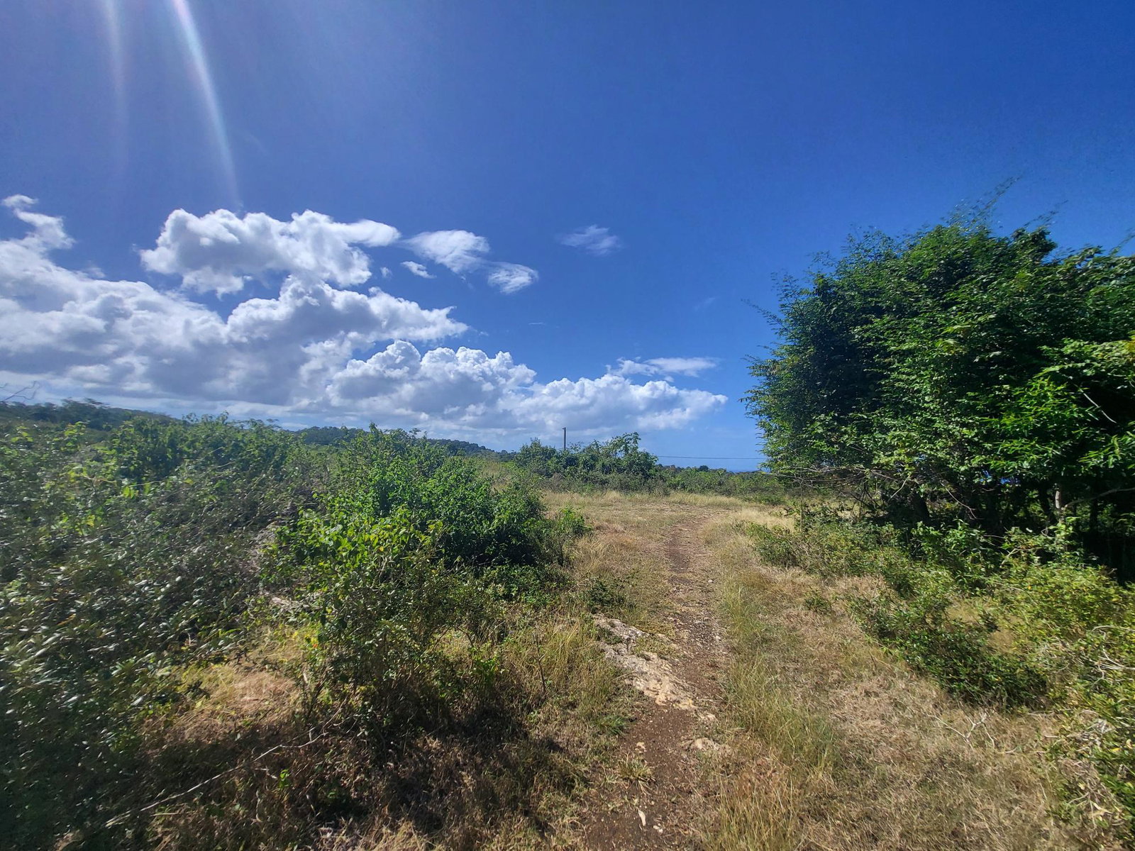 Fourth image of Lot 51 Cousins Cove Green Island in Green Island, Hanover, Jamaica - property is For Sale