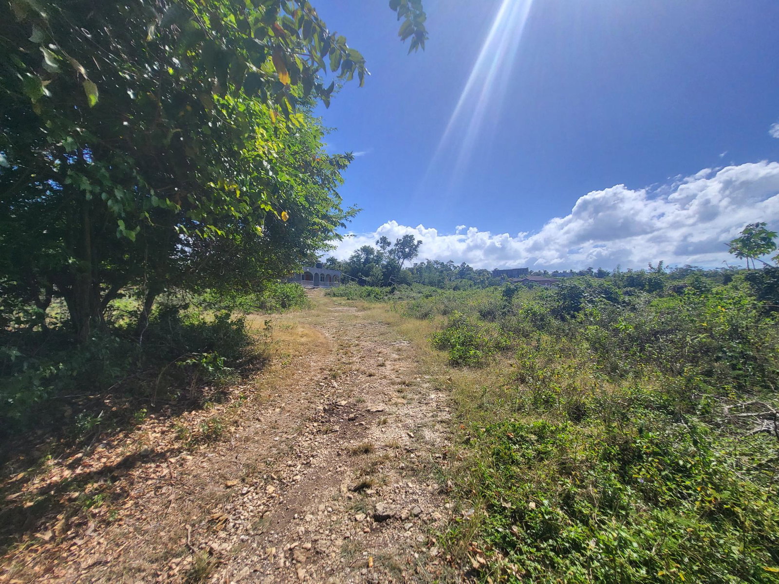 Fifth image of Lot 51 Cousins Cove Green Island in Green Island, Hanover, Jamaica - property is For Sale