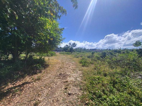 Fifth image of Lot 51 Cousins Cove Green Island in Green Island, Hanover, Jamaica - property is For Sale