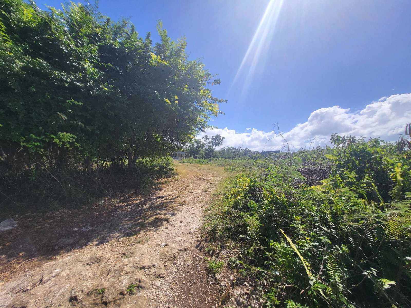 Sixth image of Lot 51 Cousins Cove Green Island in Green Island, Hanover, Jamaica - property is For Sale