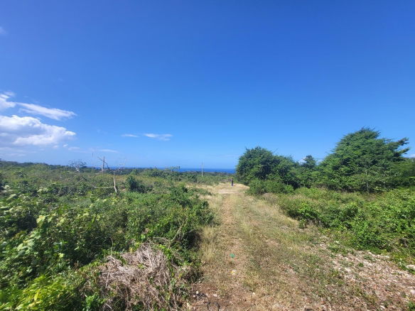 First image of Lot 51 Cousins Cove Green Island in Green Island, Hanover, Jamaica - property is For Sale