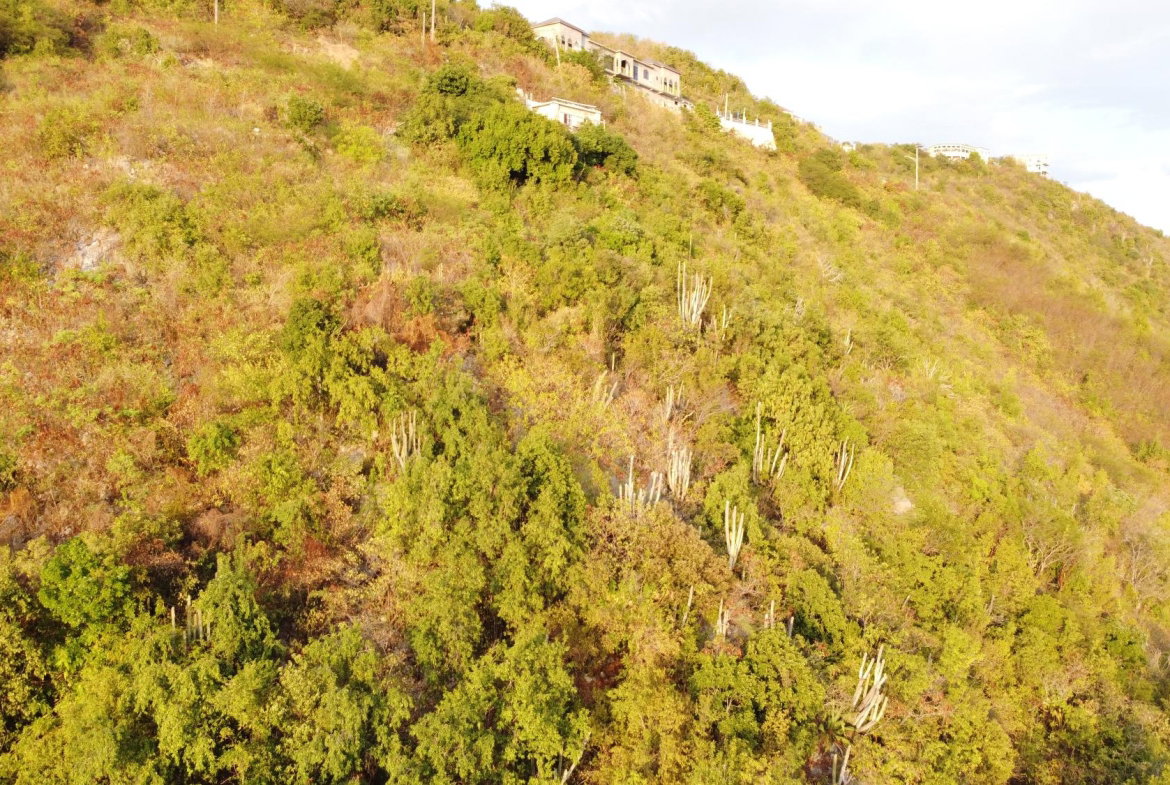 Twentieth image of 272- Albion View, Rest Haven in Bull Bay P.O., St. Andrew, Jamaica - property is For Sale