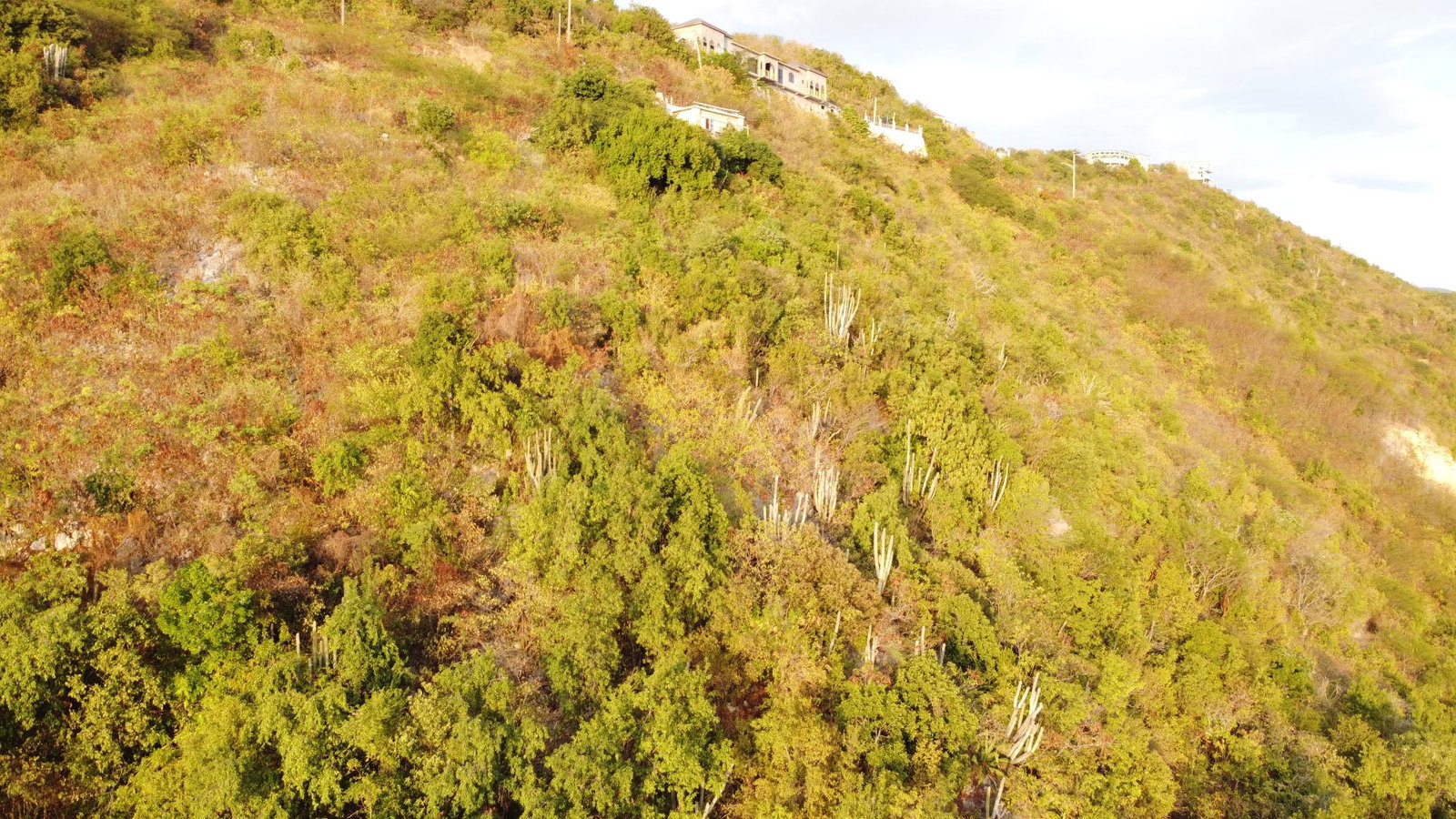 Twentieth image of 272- Albion View, Rest Haven in Bull Bay P.O., St. Andrew, Jamaica - property is For Sale