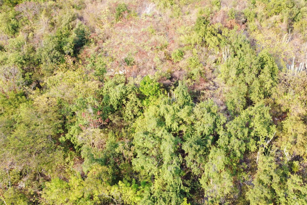 Twenty-Ninth image of 272- Albion View, Rest Haven in Bull Bay P.O., St. Andrew, Jamaica - property is For Sale