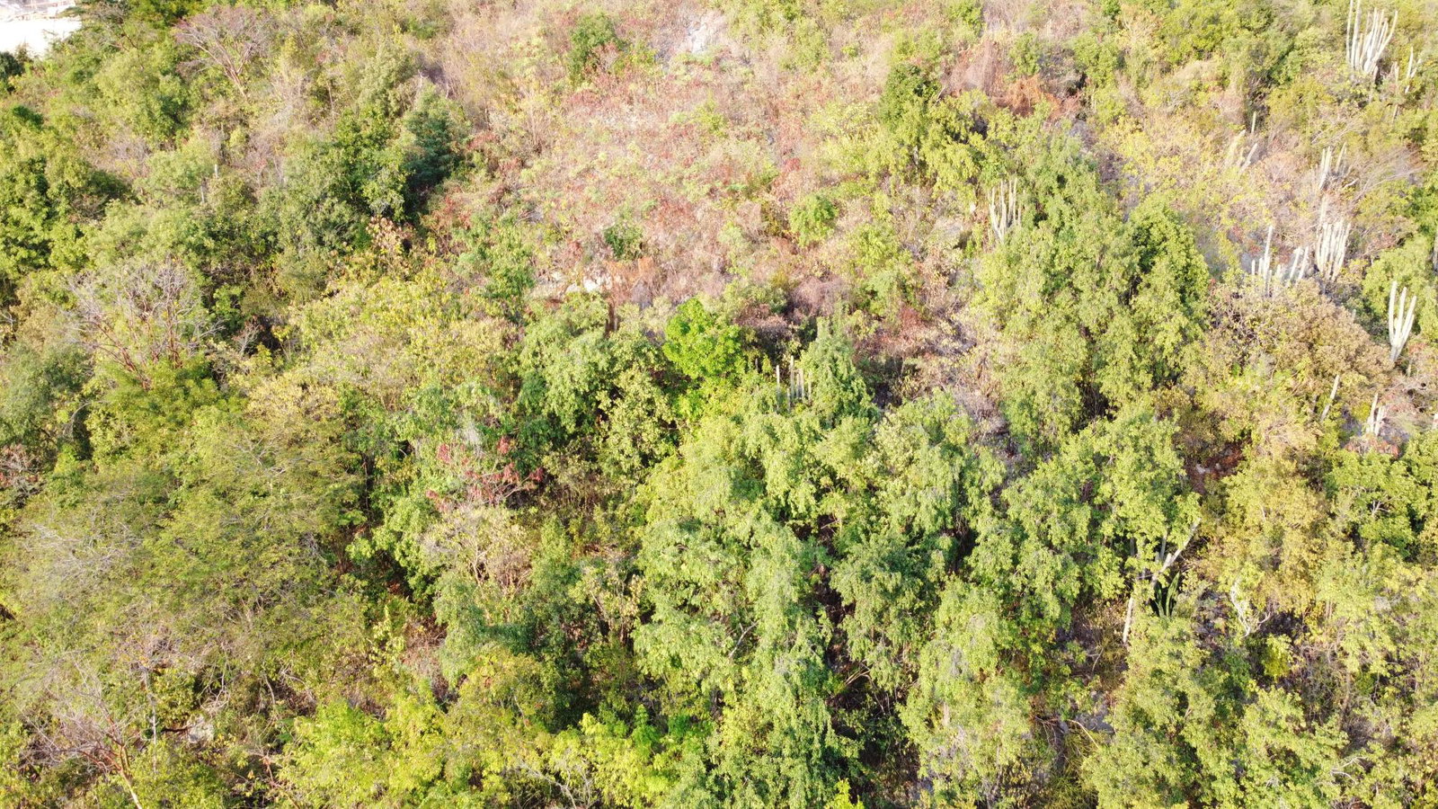 Twenty-Ninth image of 272- Albion View, Rest Haven in Bull Bay P.O., St. Andrew, Jamaica - property is For Sale