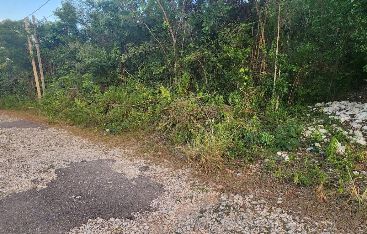 Fifth image of Belgrade Ave in Montego Bay, St. James, Jamaica - property is For Sale