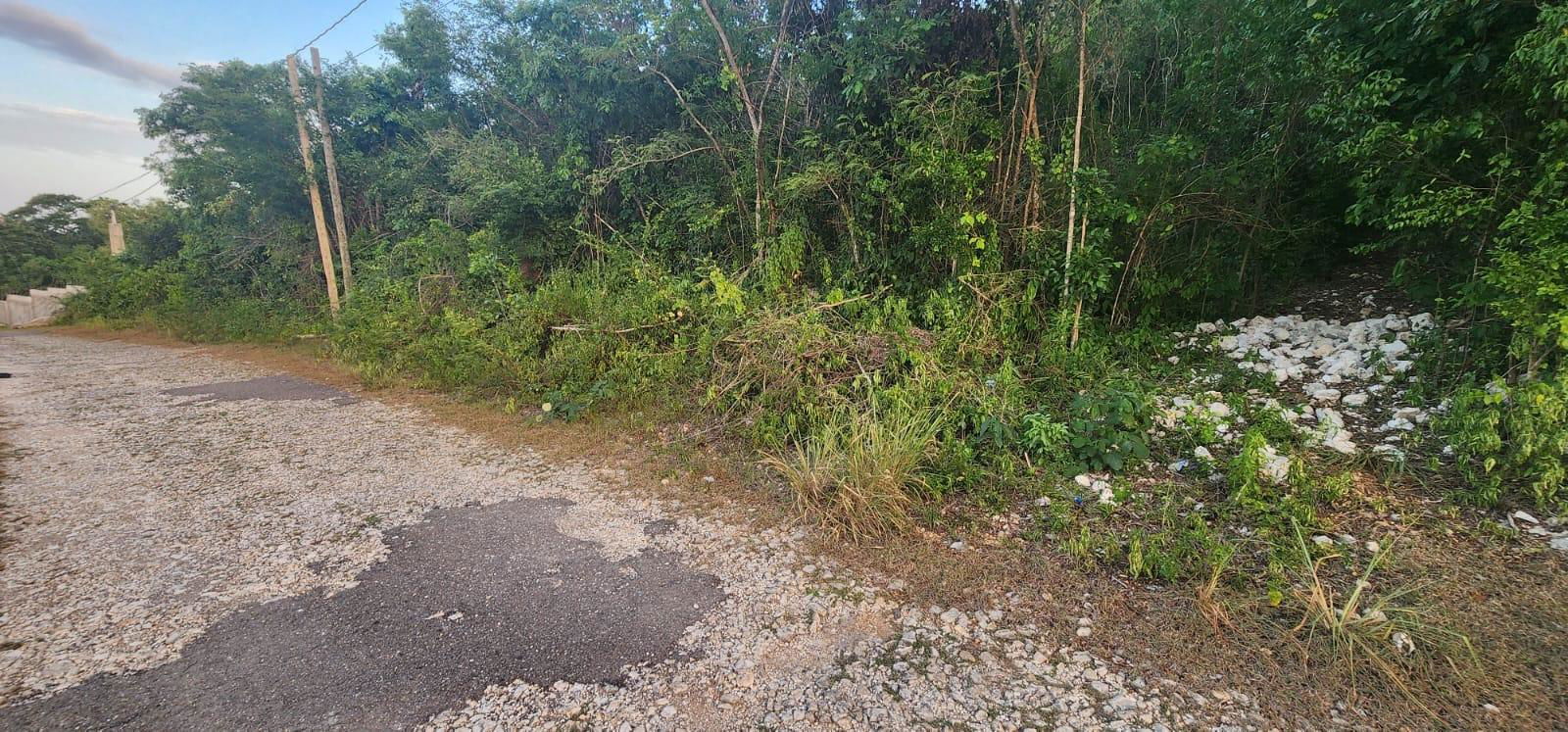 Ocean-View-Residential-Lot-for-Sale-in-St.-James-Jamaica Fifth image of Belgrade Ave in Montego Bay, St. James, Jamaica - property is For Sale
