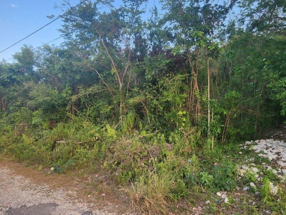 First image of Belgrade Ave in Montego Bay, St. James, Jamaica - property is For Sale