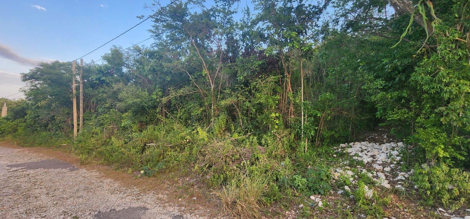 Ocean-View-Residential-Lot-for-Sale-in-St.-James-Jamaica First image of Belgrade Ave in Montego Bay, St. James, Jamaica - property is For Sale