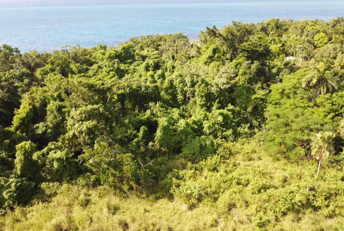 Second image of Cousins Cove in Cousins Cove, Hanover, Jamaica - property is For Sale