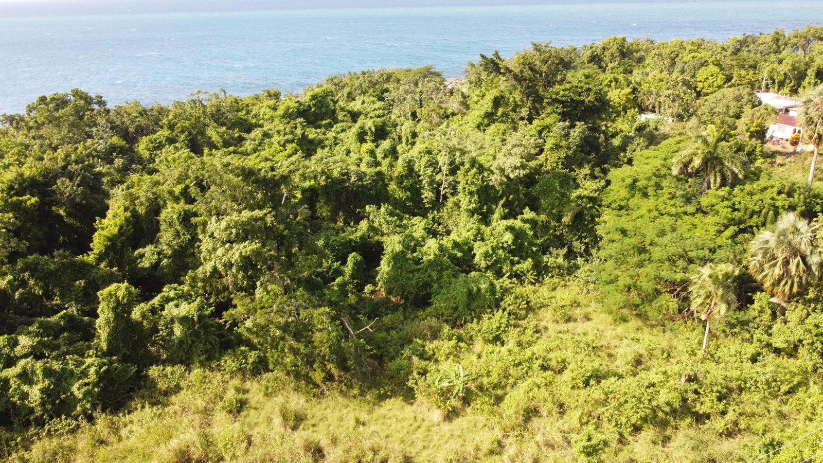 Oceanfront-Property-for-Sale-in-Cousins-Cove-Hanover-2-Acres Second image of Cousins Cove in Cousins Cove, Hanover, Jamaica - property is For Sale
