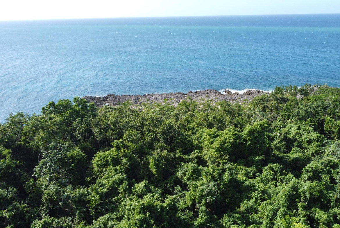 First image of Cousins Cove in Cousins Cove, Hanover, Jamaica - property is For Sale