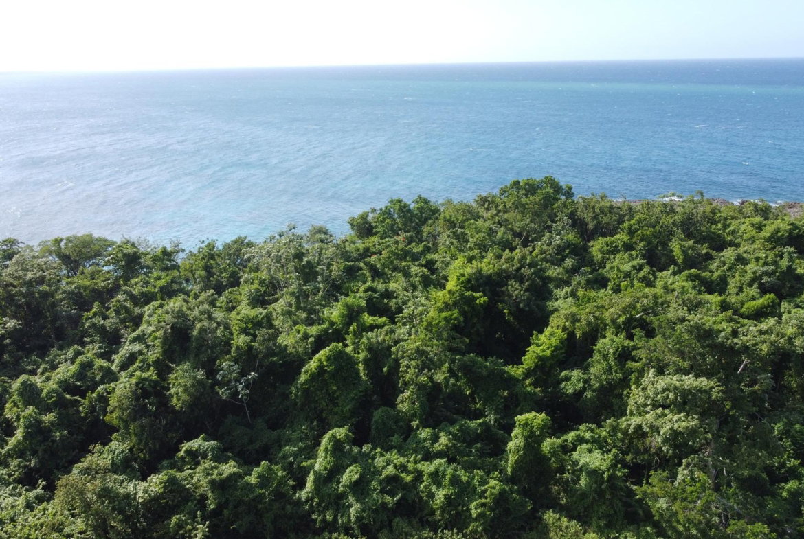 Fourth image of Cousins Cove in Cousins Cove, Hanover, Jamaica - property is For Sale