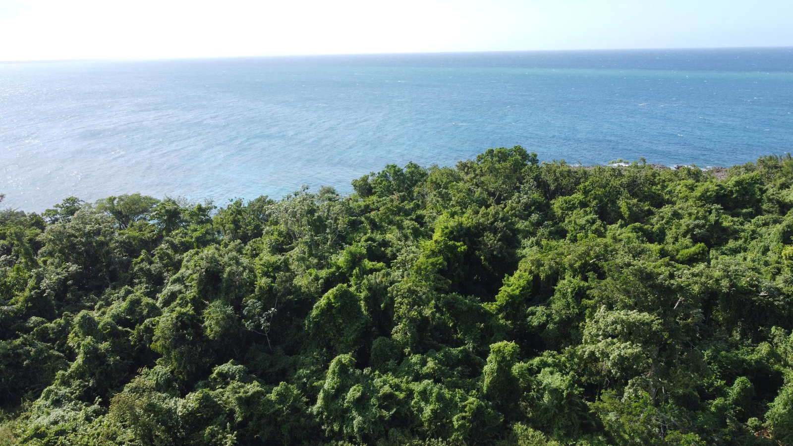 Oceanfront-Property-for-Sale-in-Cousins-Cove-Hanover-2-Acres Fourth image of Cousins Cove in Cousins Cove, Hanover, Jamaica - property is For Sale