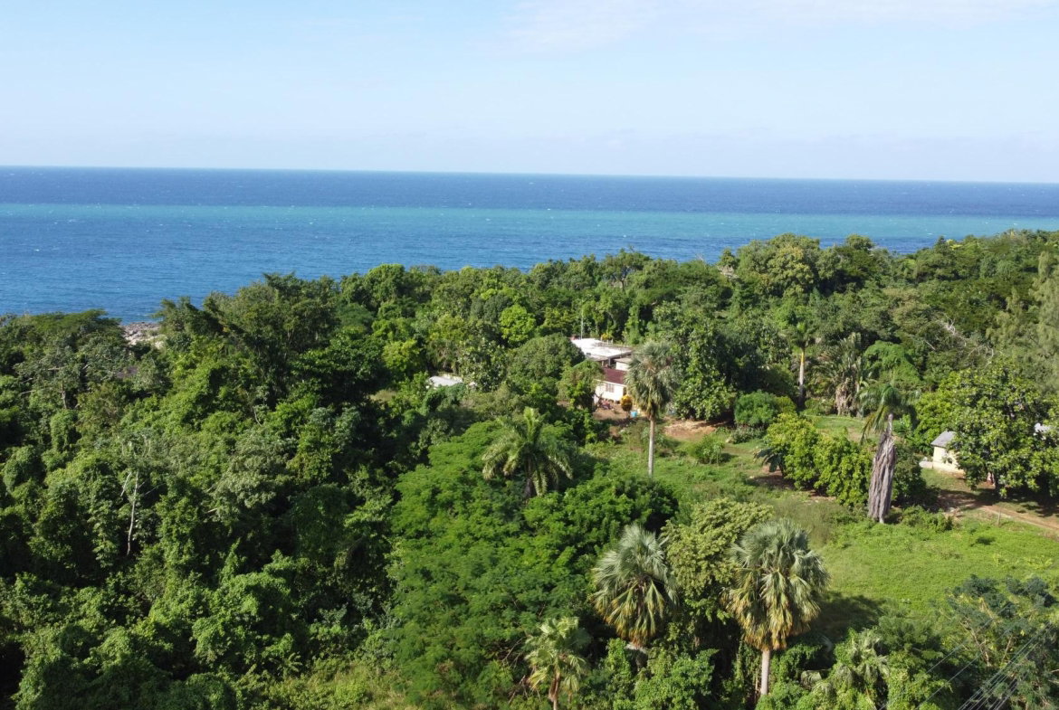 Fifth image of Cousins Cove in Cousins Cove, Hanover, Jamaica - property is For Sale