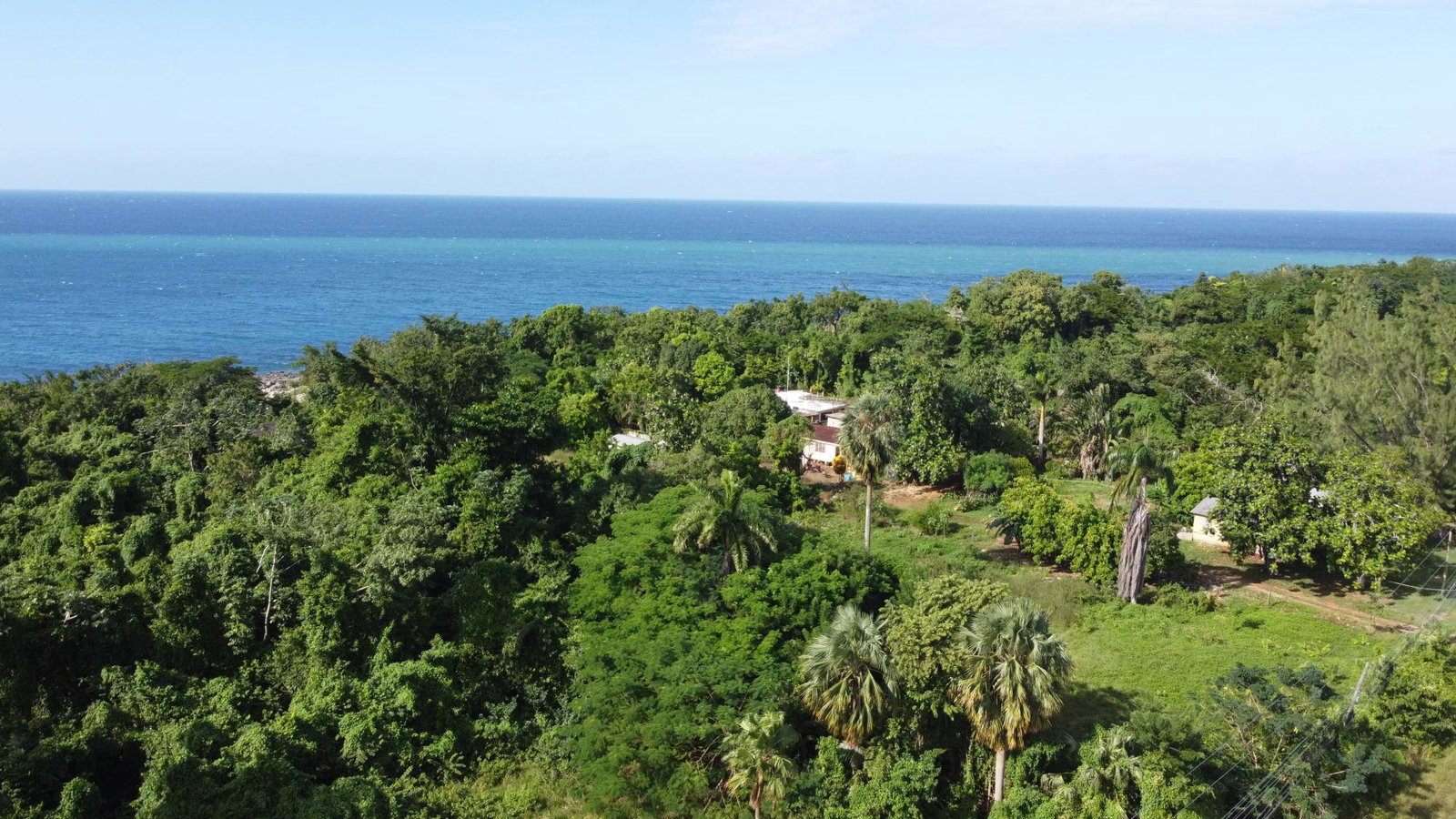Oceanfront-Property-for-Sale-in-Cousins-Cove-Hanover-2-Acres Fifth image of Cousins Cove in Cousins Cove, Hanover, Jamaica - property is For Sale