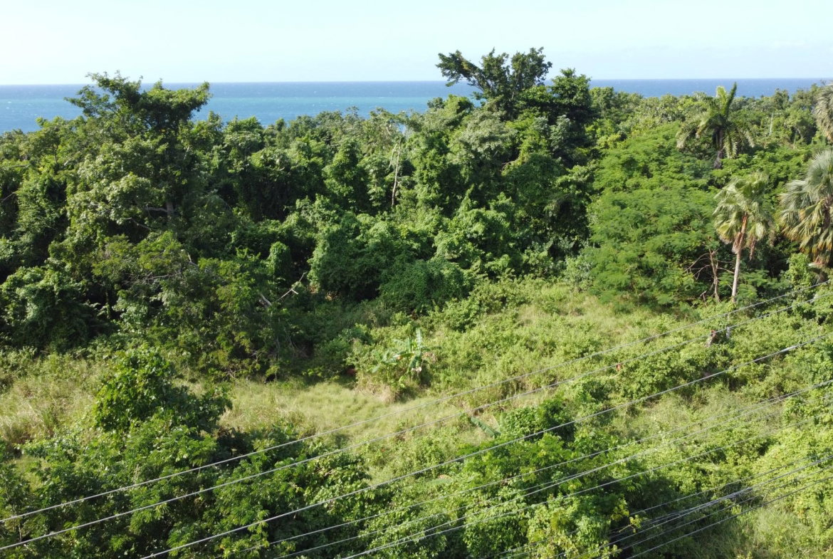 Sixth image of Cousins Cove in Cousins Cove, Hanover, Jamaica - property is For Sale