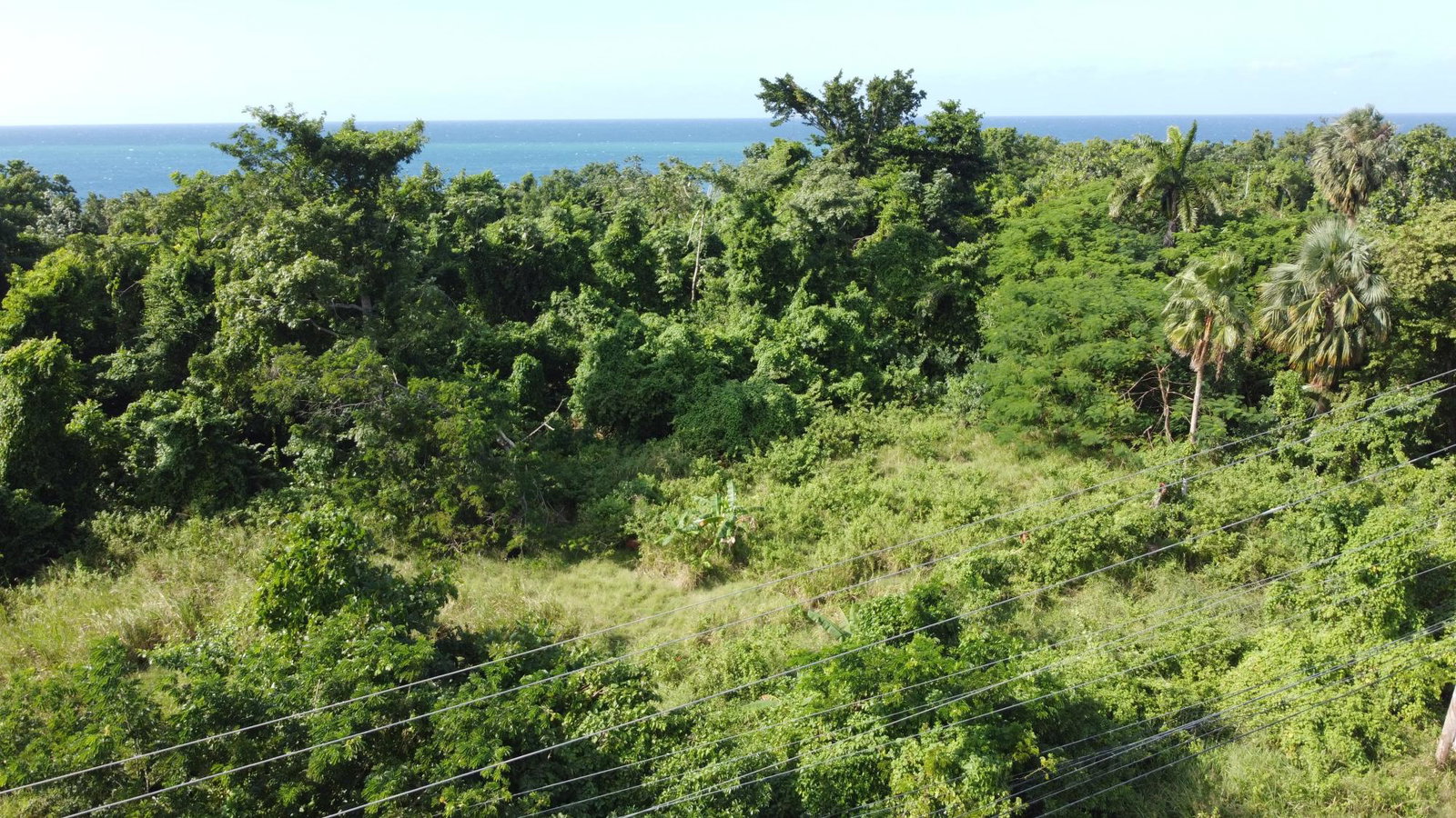 Oceanfront-Property-for-Sale-in-Cousins-Cove-Hanover-2-Acres Sixth image of Cousins Cove in Cousins Cove, Hanover, Jamaica - property is For Sale