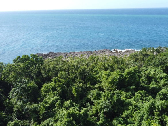 First image of Cousins Cove in Cousins Cove, Hanover, Jamaica - property is For Sale