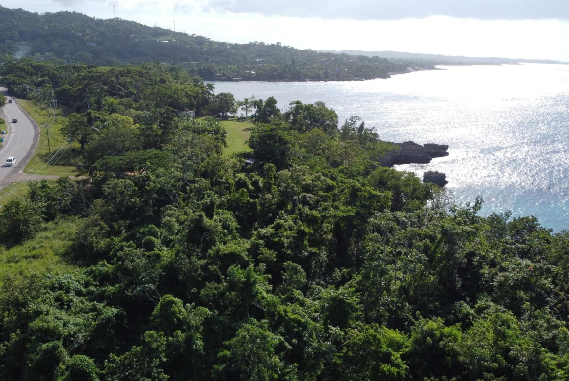 Eighth image of Cousins Cove in Cousins Cove, Hanover, Jamaica - property is For Sale