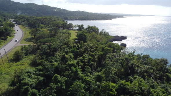 Eighth image of Cousins Cove in Cousins Cove, Hanover, Jamaica - property is For Sale