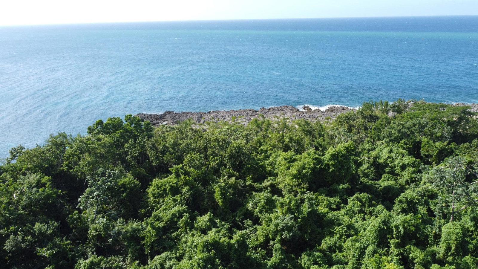 Oceanfront-Property-for-Sale-in-Cousins-Cove-Hanover-2-Acres First image of Cousins Cove in Cousins Cove, Hanover, Jamaica - property is For Sale