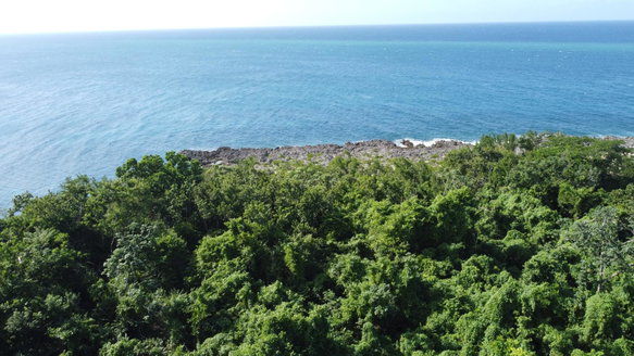 First image of Cousins Cove in Cousins Cove, Hanover, Jamaica - property is For Sale
