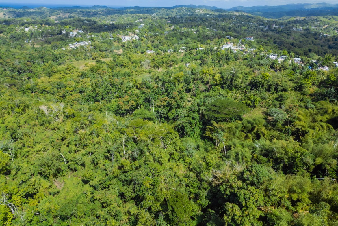 Second image of Paradise in Paradise, Hanover, Jamaica - property is For Sale