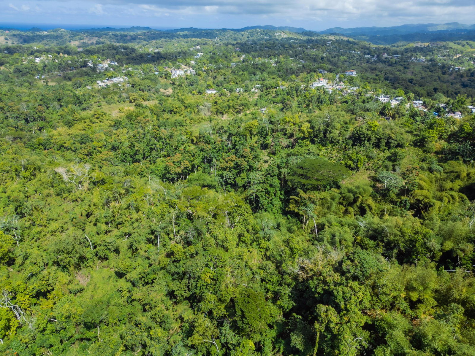 Second image of Paradise in Paradise, Hanover, Jamaica - property is For Sale