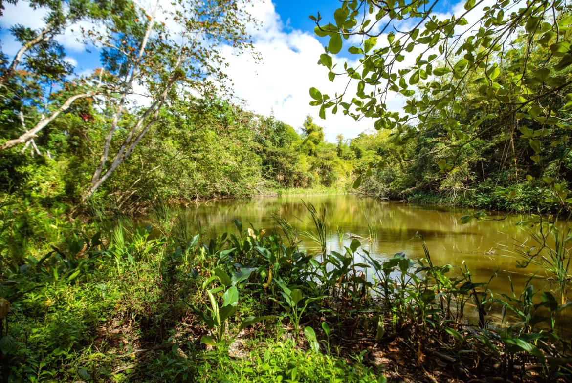 Eleventh image of Paradise in Paradise, Hanover, Jamaica - property is For Sale